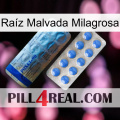 Raíz Malvada Milagrosa 40